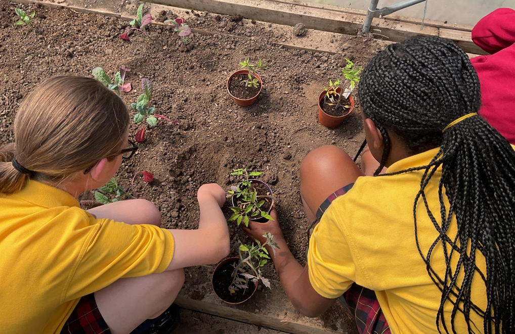 school children gardening