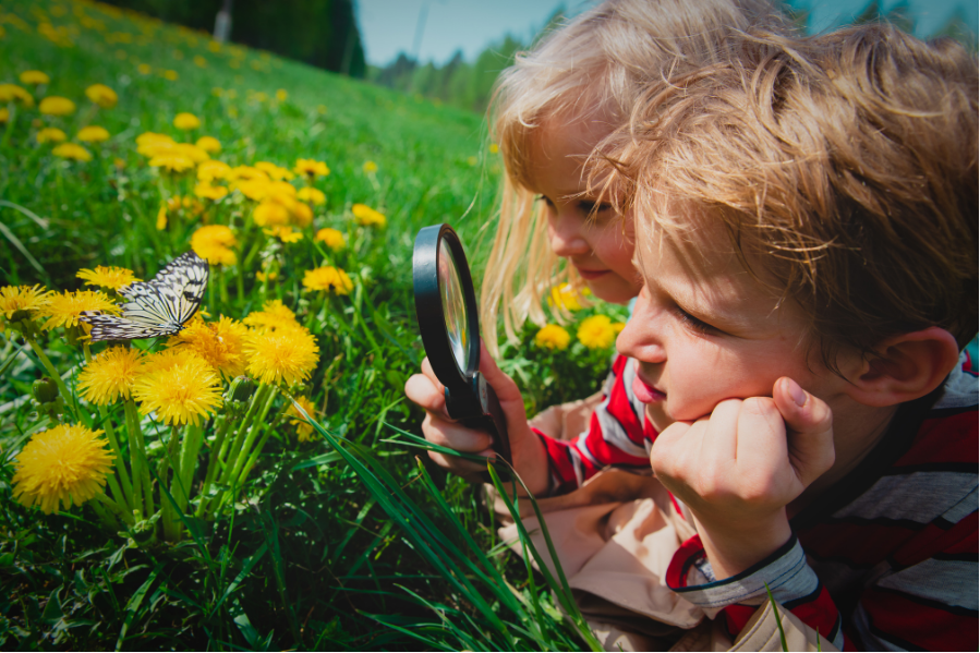 children looking for wildlife