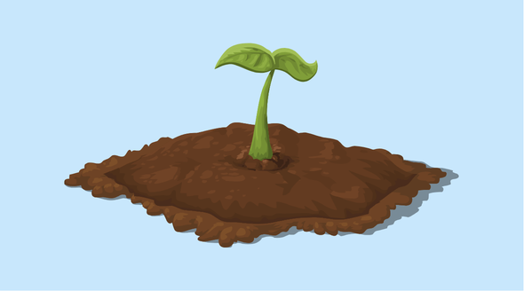plant