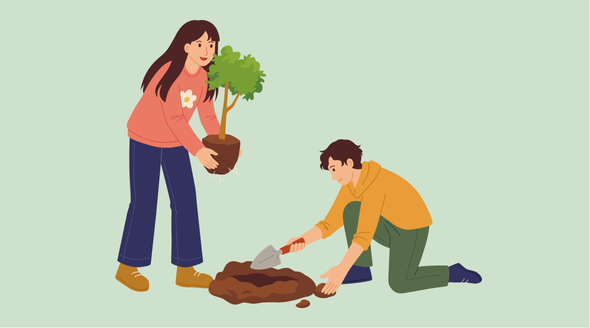 image of trees being planted