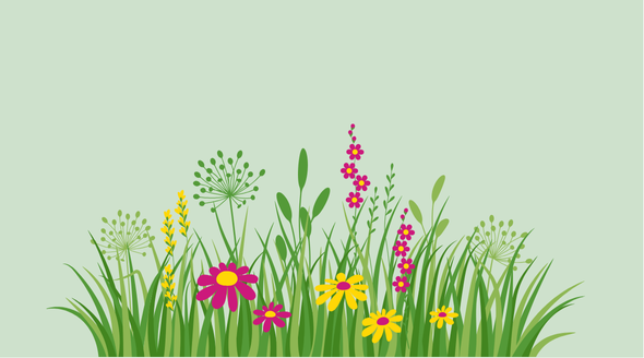 image of wildflowers